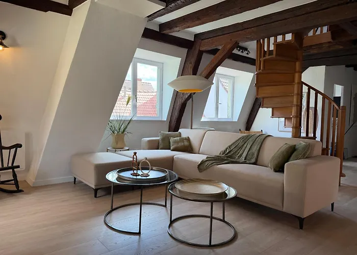 Le Jolie Duplex Daire Colmar fotoğrafı